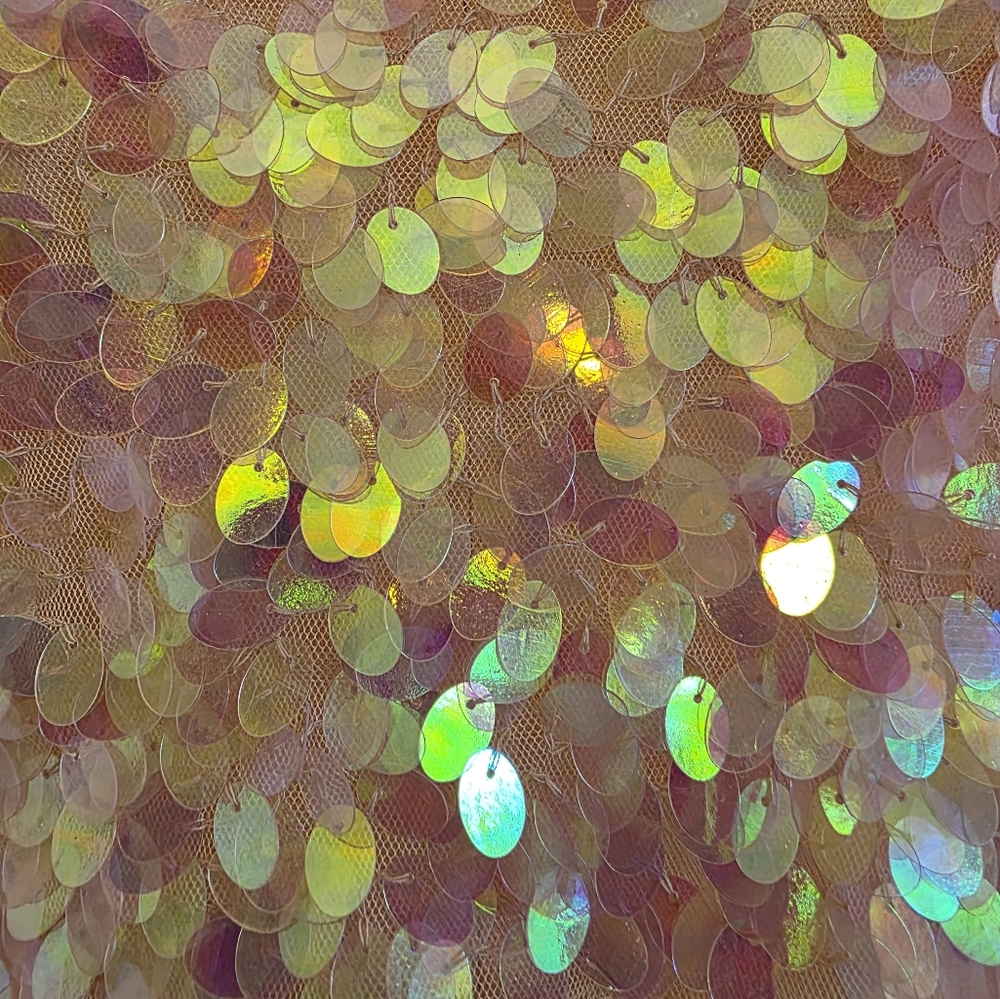 TopShop Iridescent Sequin Top - Picture 6 of 10